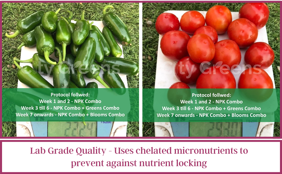 City Greens Advance Hydroponic Nutrient 300ml For Vegetables/Flowers