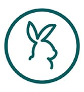 Only Skin Men's Facial Scrub (2.5 oz) White Willow Bark to Calm Irritated Skin, Dragon's Blood He...