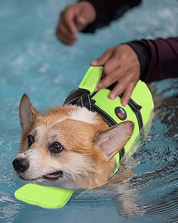 dog swimming vest