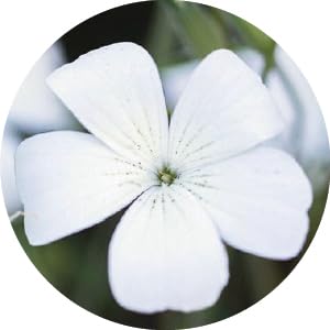 Small manufacture image 7