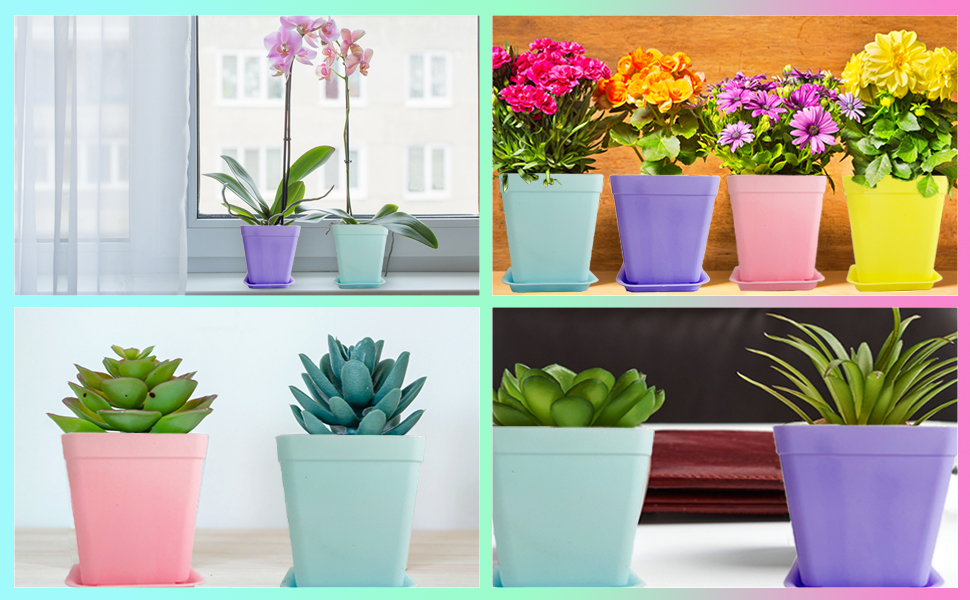Plastic Square Nursery Pots