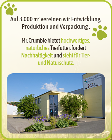 Text: „Nachhaltige Zeit und nachhaltige Produktion und Verpackung.“ Folien mit grünem Rand zeigen Ansichten von Industrie- oder Produktionsanlagen.