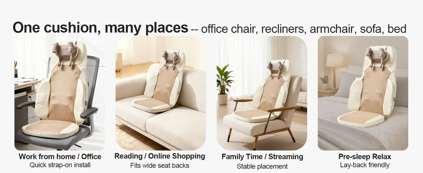 One cushion, many places -- office chair, recliners, armchair, sofa, bed