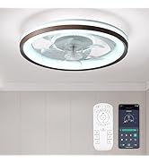FTZVRD Ceiling Fan with Light and Remote, 19
