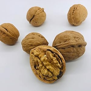 Amazon.co.jp: 【11月中旬販売予定】国産くるみ 殻付きタイプ 【L