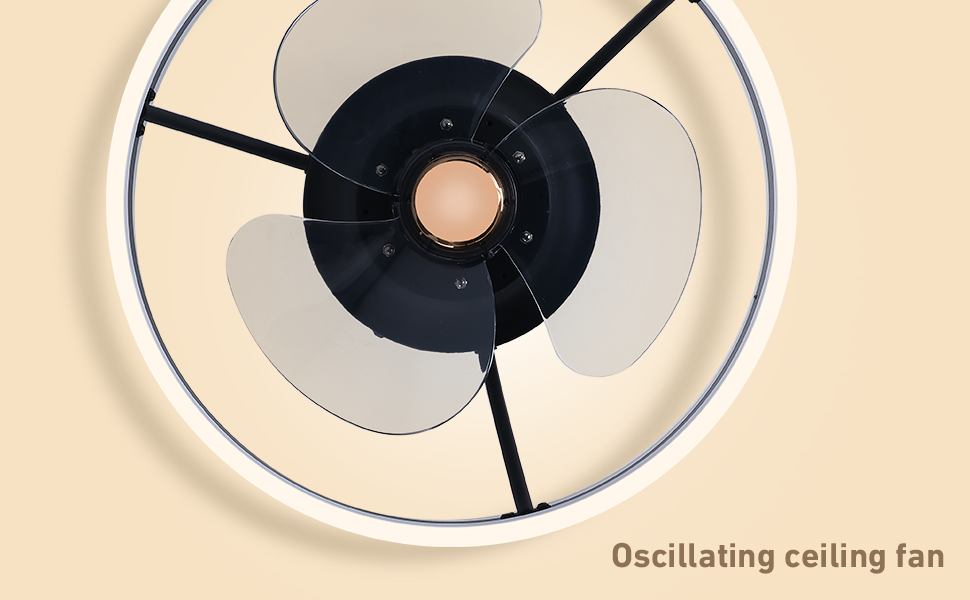 COCOSTAR Flush Mount Ceiling Fan with Lights Remote Control