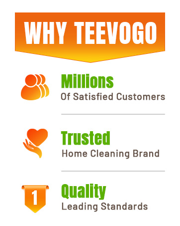 hand held steam cleaner