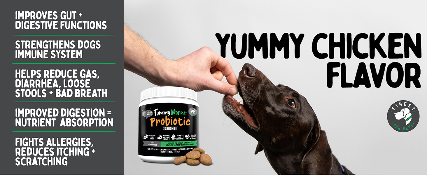 TummyWorks Probiotic 120 Soft Chews for Dogs All Ages
