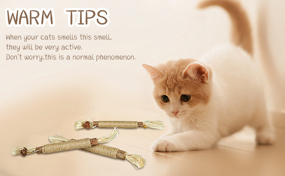 Cat Chew Sticks, Cat Catnip Sticks, 10 Pcs Chew Toys for Cat Teeth