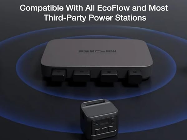 Amazon.com: EF ECOFLOW 800W Alternator Charger, 3-in-1 Fast