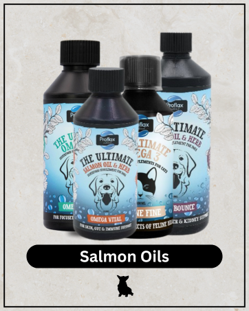 Salmon