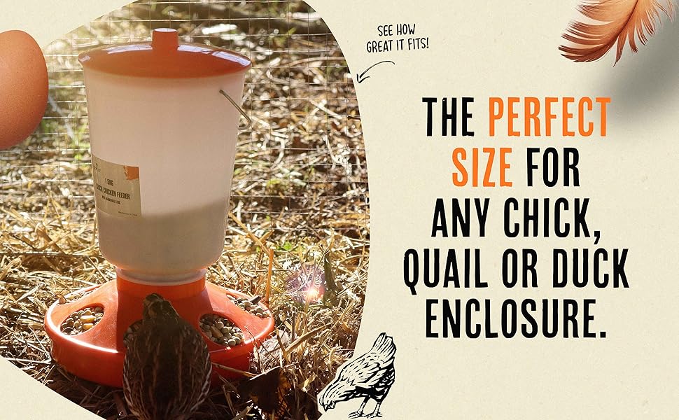 Roosty's Chick Feeder and Waterer Kit, Chicken Feeder and