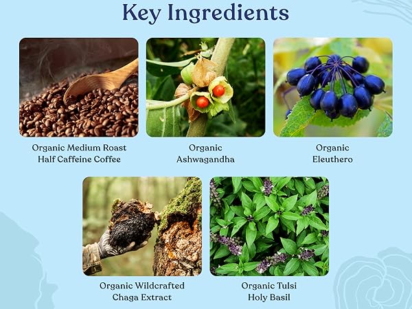 Medium roast half caf coffee, ashwagandha, eleuthero, chaga extract, holy basil