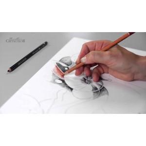 Cretacolor, beginner, advance set, teachers choice, sketching, drawing, charcoal, pencils, graphite