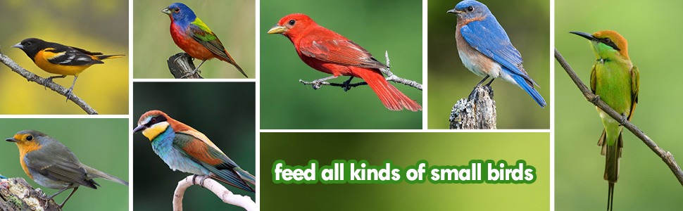 bird feeder waterproof metal hanging outdoor outside