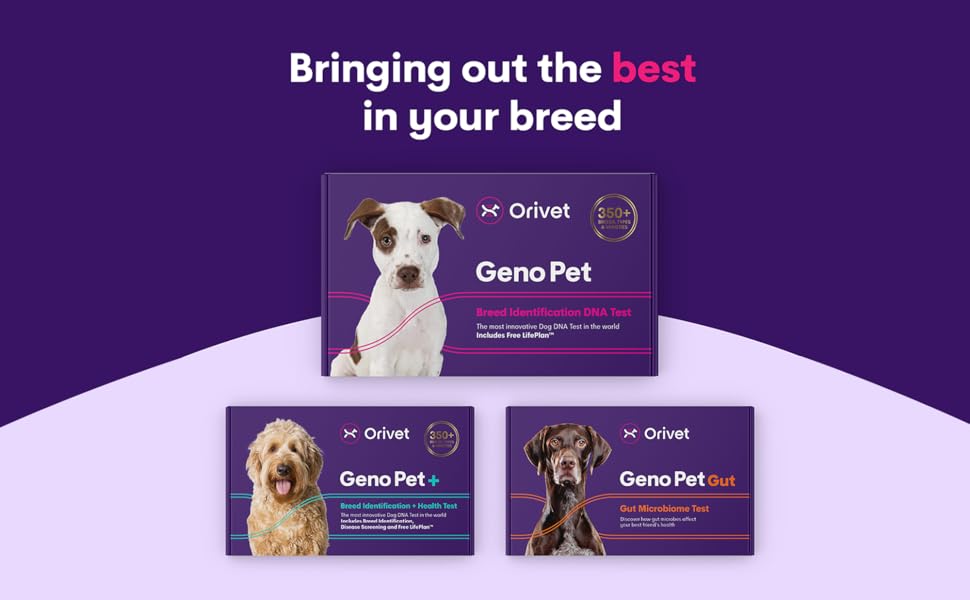ORIVET Dog Breed Identification DNA Test 1 Pack, Genopet Breed ID Kit