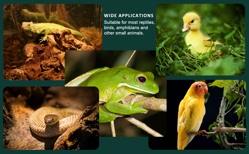 DOMICA Ceramic Heat Emitter