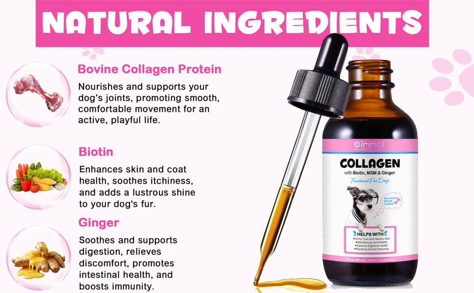 Infographie du produit montrant un supplément de collagène avec flacon compte-gouttes, mettant en évidence des ingrédients naturels tels que la protéine de collagène bovin, la biotine