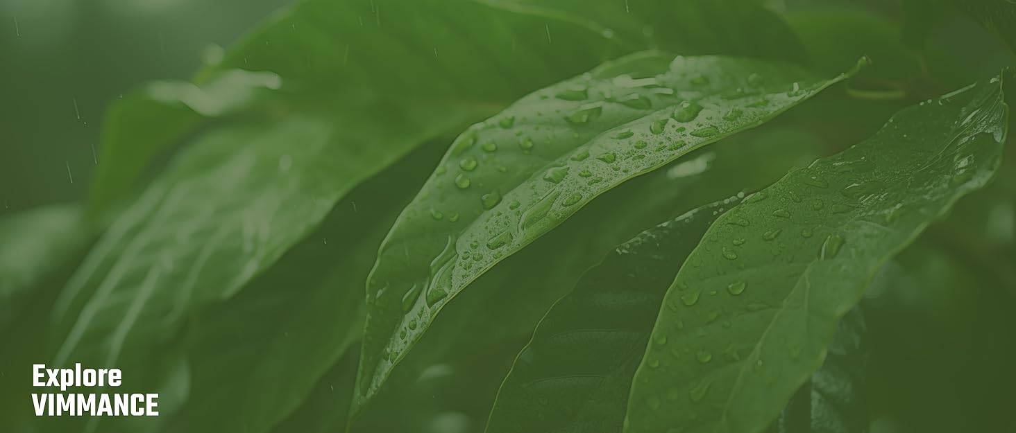 soursop tea