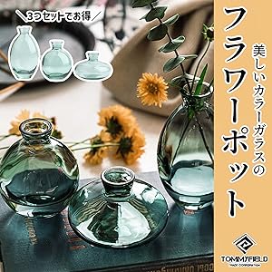 Amazon.co.jp: TOMMYFIELD フラワーベース 花瓶 ガラス 一輪挿し