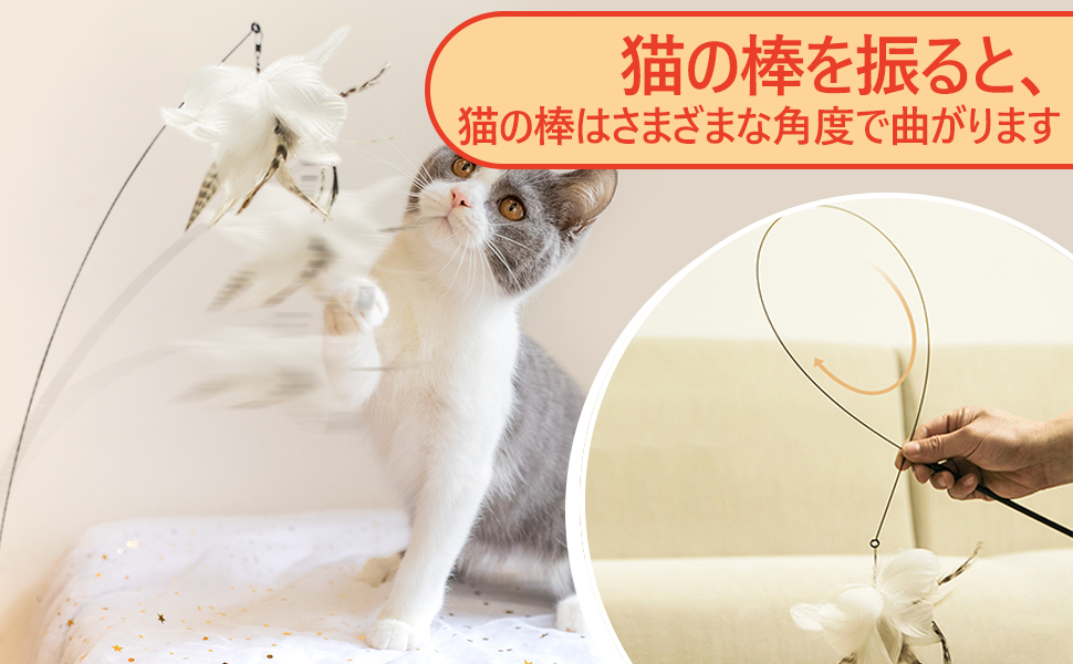 猫子爵様専用 ccmohmand.edu.pk