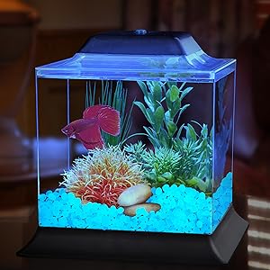 glow fish tank decorations rocks