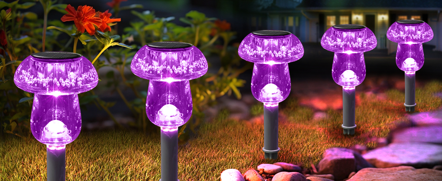 SOLAR PATHWAY LIGHTS