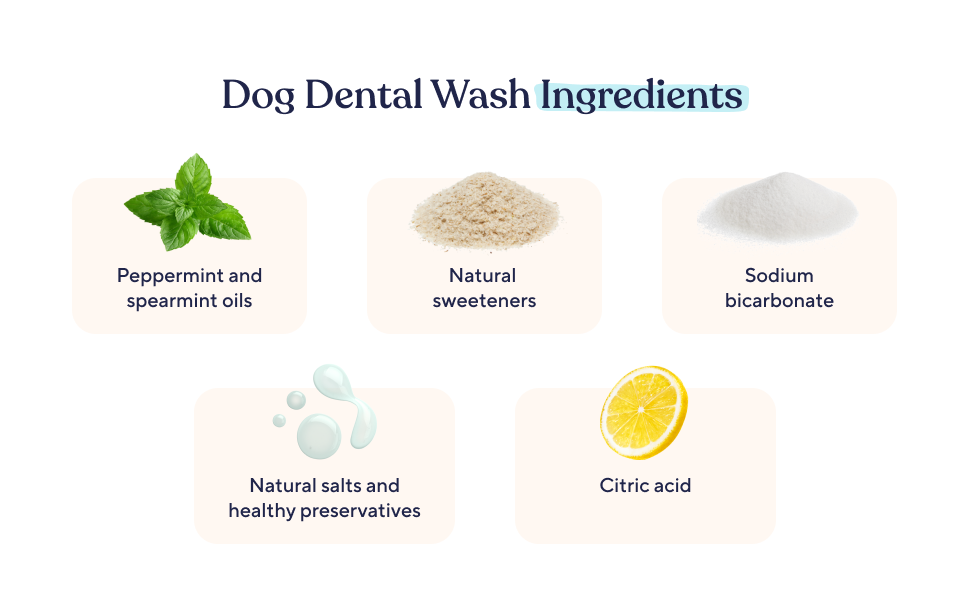 Ingredients - Peppermint, Naturally Sweeteners, Sodium Bicarbonate, Citric Acid