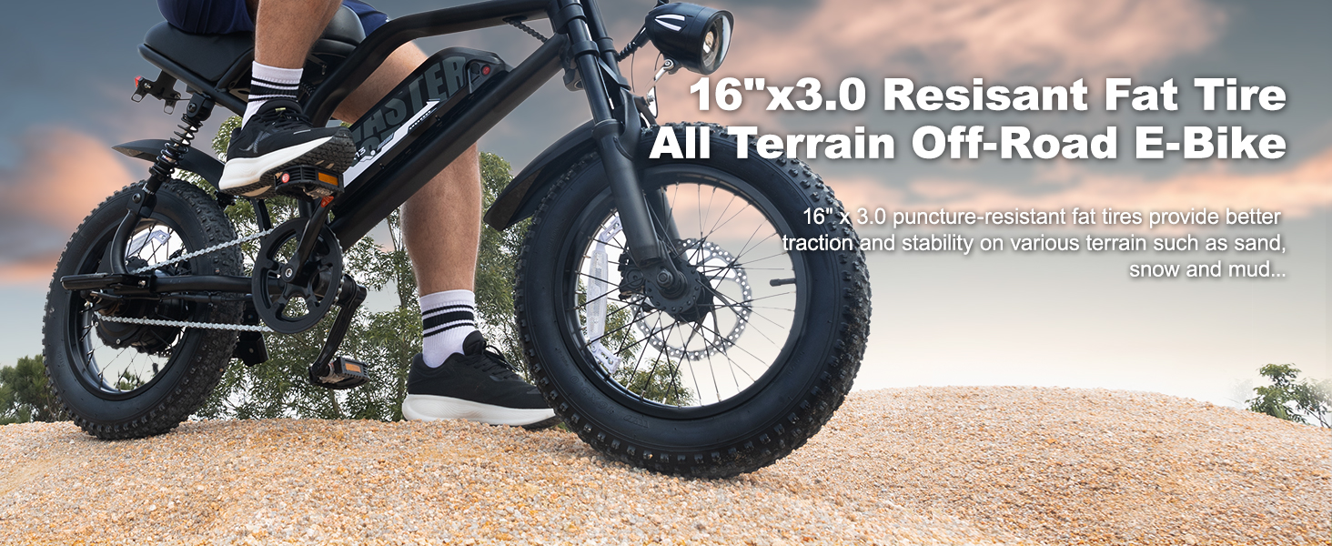 ebike
