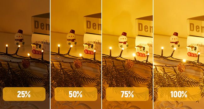 Dimmable Lights with Remote