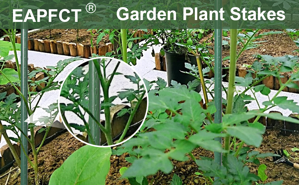 plant stakes