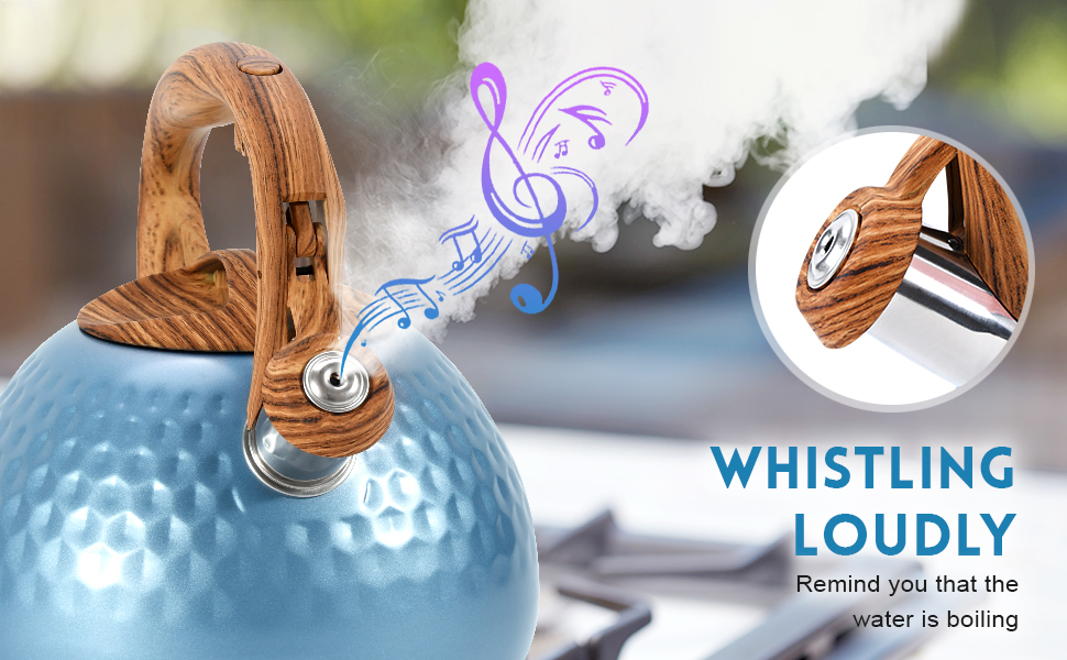 GGC Tea Kettle for Stove Top, Loud Whistling Kettle for