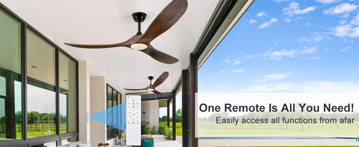 ceiling fan with light