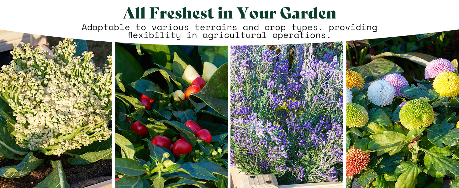 garden box