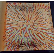 variegated leaf flower copper