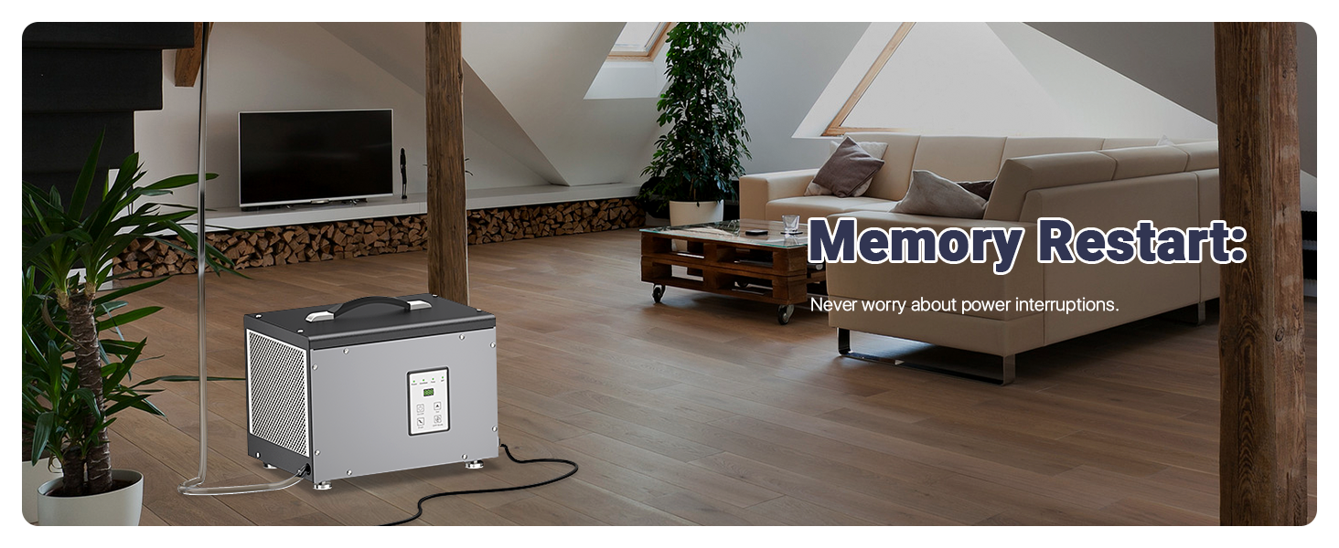 crawlspace dehumidifier