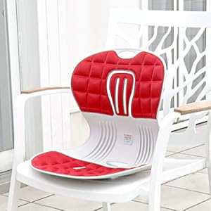 Amazon.co.jp: ピン セスジ 椅子 綺麗 姿勢 サポート 韓国 新