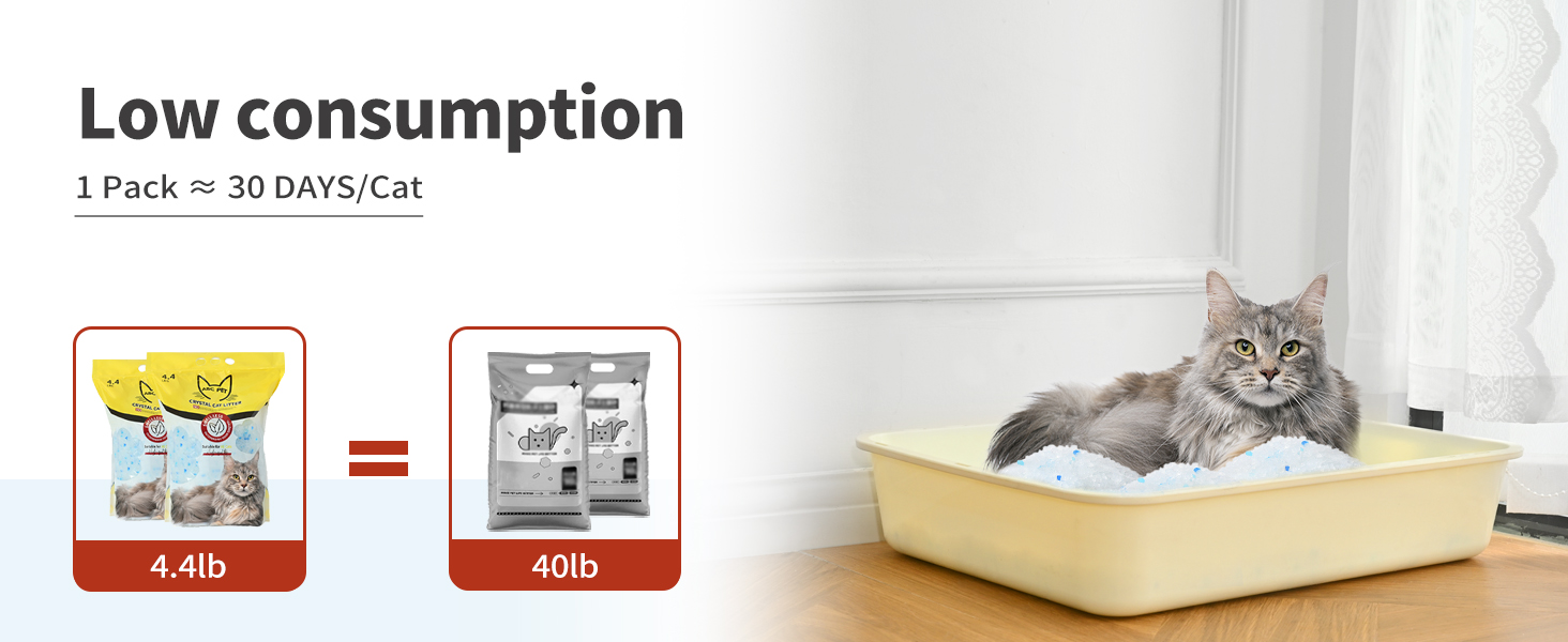 cat crystals litter
