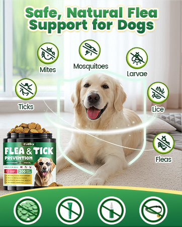 Flea and Tick Prevention for Dogs