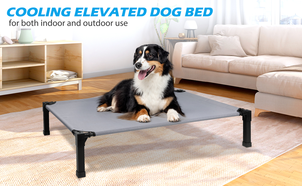 Heeyoo Cooling Raised Pet Cot for Summer Use
| Heeyoo Chew Proof Washable Dog Bed for Comfortable Rest
| Heeyoo No- Fc354951 08ba 4ae0 B48a 6bf0014635b2. CR0,0,970,600 PT0 SX970 V1