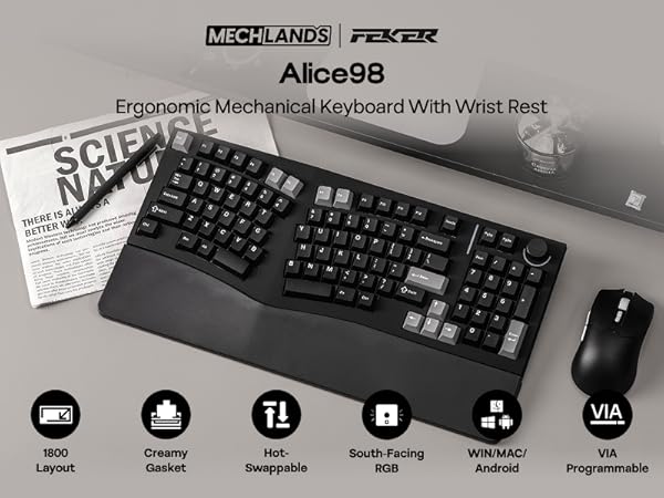 Amazon.com: MechLands Feker Alice98 Ergonomic 98 Keys Custom