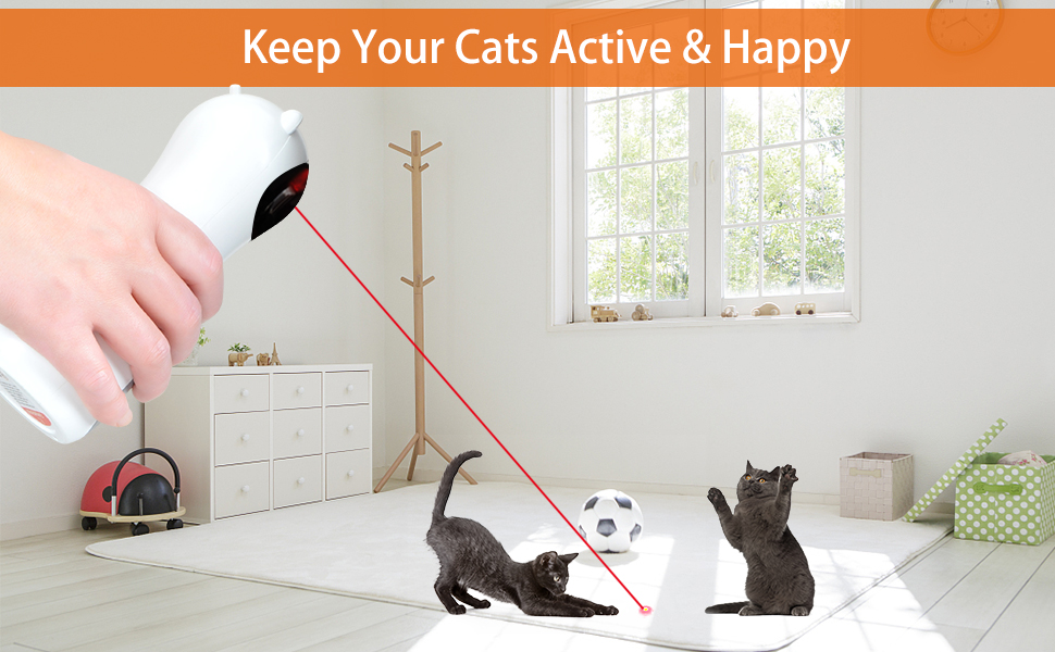 keep your cats active& happy