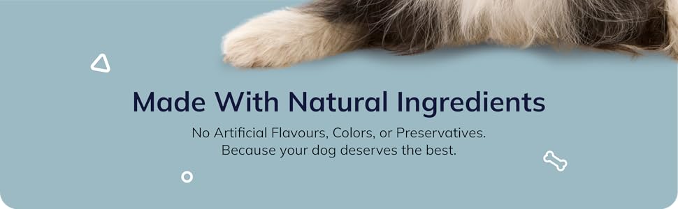 dog joint and mobility support