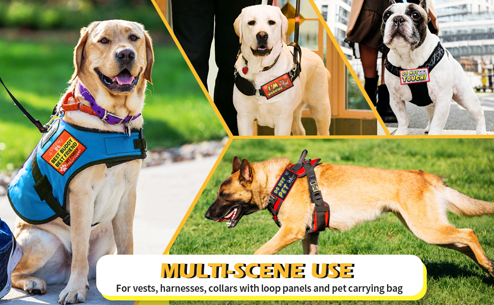 KAKALUOTE 9 Pieces Service Dog Patch, Removable Service Dog