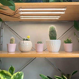 Small manufacture image 6