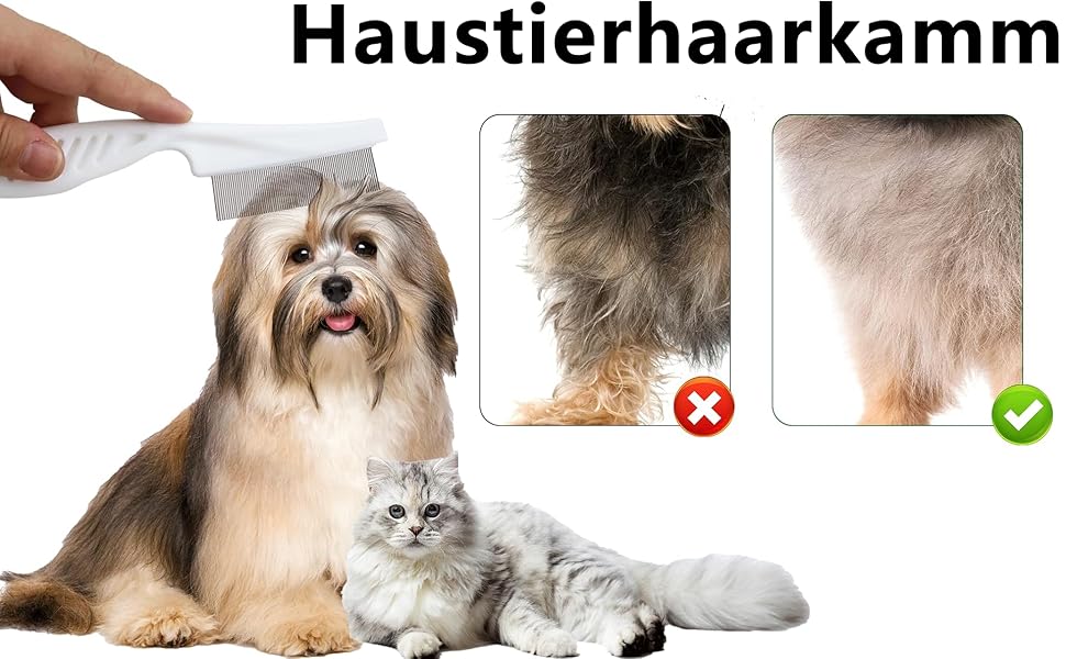 Läusekamm Plastik Doppelseitig