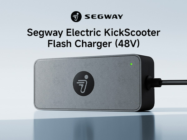 SEGWAY 純正 急速充電器 オリジナル115.6W 57.8V 2A充電器