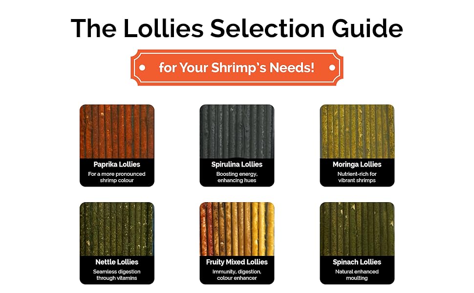 Improve your shrimp's vitality with our nutritious shrimp food Lollies.