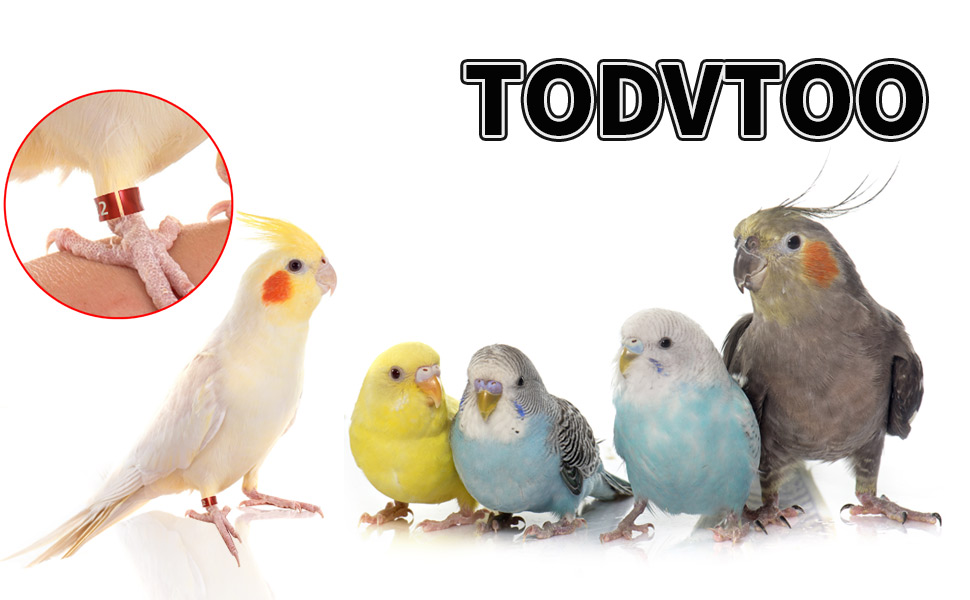 TODVTOO Open Bird Ring Bird Band Bird Foot Ring Bird Leg Bands Rings for Birds Tags