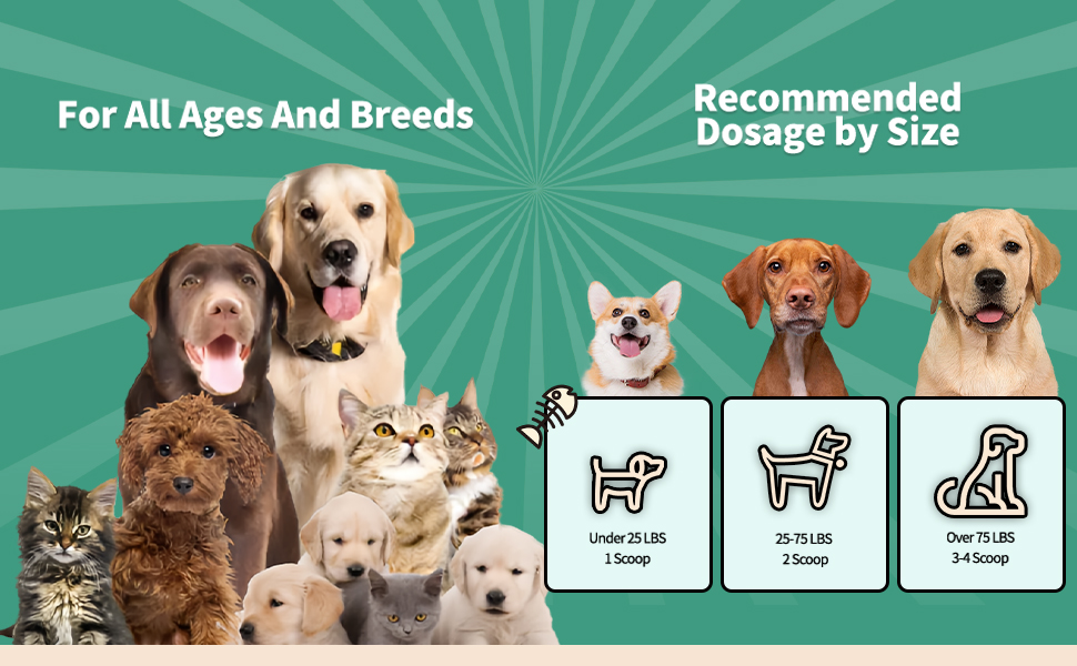 Dog Teeth Cleaning Powder Large Capacity Dog Dental Powder for Dog Teeth Cleaning